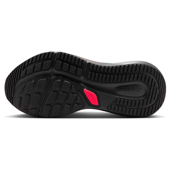 Nike Winflo 12